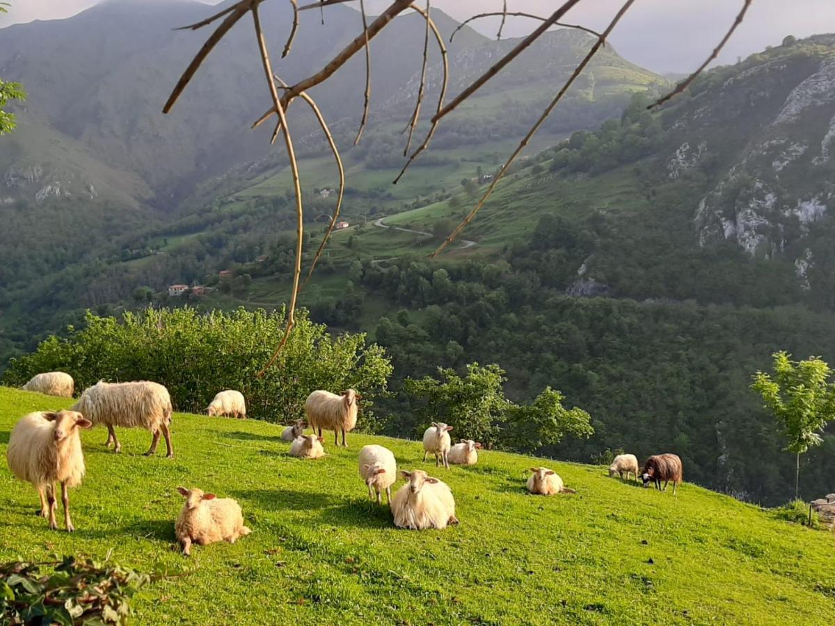 Hotel Rural El Rexacu Bobia de Arriba Εξωτερικό φωτογραφία